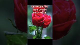 কেয়ামতের দিন মানুষ যেভাবে জেগে ওঠবে হাশরের ময়দানে #mizanurrahmanazhari #motivation # shorts #reels