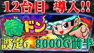 【緑ドンVIVA!情熱南米編】設定6 8000G前半!!