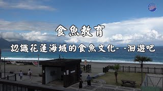 【食魚教育】認識花蓮海域的食魚文化-- 洄遊吧