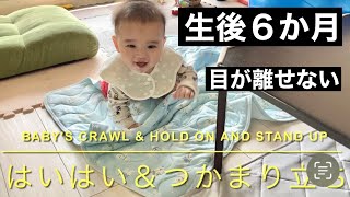 【Baby’s Crawl \u0026 Hold on and Stand up】はいはい＆つかまり立ち始めました😊。#はいはい #つかまり立ち #赤ちゃん #生後6か月