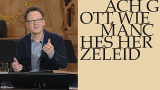 Bach erklärt: Workshop zur Kantate BWV 58 \