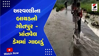 Arvalli Rain | અરવલ્લીના બાયડનો ગોતપુર-પ્રાંતવેલ ડેમમાં ગાબડું | Gujarat Monsoon | Weather