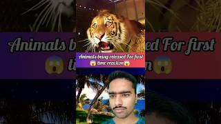 Animals being released fir first time reaction😱 #shorts #youtubeshorts #shortsfeed #entertainment