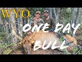 ONE DAY BULL | Archery Elk Hunting Wyoming