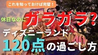 【ディズニーランド】休日なのにガラガラ？120点の過ごし方 特別に公開しちゃいます