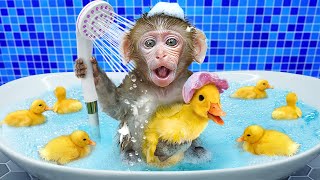 KiKi Monkey go toilet to bath with Duckling then go to sleep together | KUDO ANIMAL KIKI