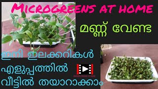 #microgreensathome #hydroponic way Microgreens at home.. ഇലക്കറികൾ ഇനി എളുപ്പത്തിൽ വീട്ടിൽ....