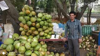 శ్రీవెంకటరమణ కొబ్బరి బోండాల దుకాణం (కె.బి.ఆర్ పార్క్)