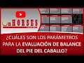 ¿CUÁLES SON LOS PARÁMETROS PARA LA EVALUACIÓN DE BALANCE DEL PIE DEL CABALLO? | On HORSES Channel