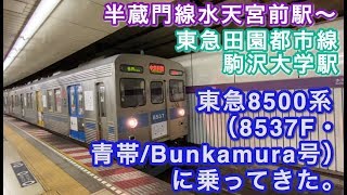 東急8500系（8537F・青帯/Bunkamura号） “各停 中央林間行き”に半蔵門線水天宮前駅から乗ってきた。 2020/04/28