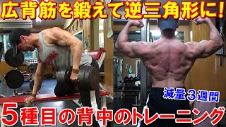 【筋トレ】広背筋を徹底的に鍛えて逆三角形の背中を作る5種目のトレーニング【減量3週間】