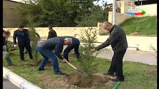 “Ümumrespublika yaşıllaşdırma marafonu” çərçivəsində Binəqədi rayonunda ağacəkmə aksiyası keçirildi.