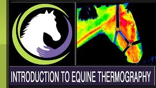 Equitopia presents: An Introduction to Equine Thermography