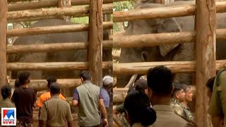 ധോണിയുടെ പേടിസ്വപ്നം വനംവകുപ്പിന്റെ പിടിയില്‍; നടന്നത് ഇങ്ങനെ | PT7