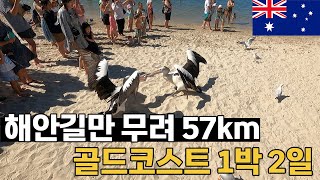 스케일 남다른 호주 최고의 휴양지 골드코스트, 1박 2일 액티비티와 투어 - 세계여행 [45]