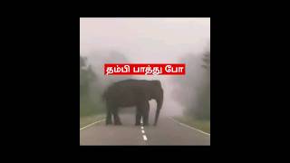 தம்பி பாத்து போ #Short