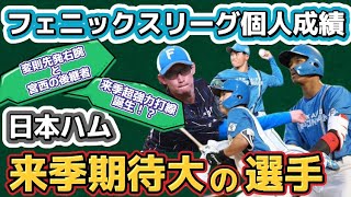 【来季飛躍へ】日本ハム『来季要注目の選手』をフェニックスリーグの個人成績から見てみると