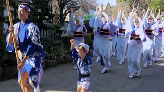 🌱湘南なぎさ連【流し踊り】第2回湘南遊行阿波おどり