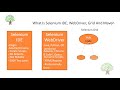 What Is Selenium IDE, WebDriver, Grid And Maven | Whizdom Trainings