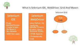 What Is Selenium IDE, WebDriver, Grid And Maven | Whizdom Trainings