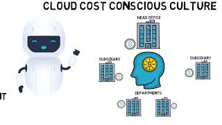 Cloud Cost Management for Enterprises: the Use Cases of C-Facts