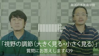 OCHABI_質問439「視野の調節（大きく見る・小さく見る）」美術学院_2020