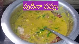 పుదీనా పప్పు||Mint leaves Dal in Telugu ||Pudina ToorDal recipe @banvikateluguvlogs