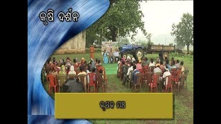 କୃଷକ ମଞ୍ଚ - ଭାଗ 2  ll  KRUSHAKA MANCHA    ll କୃଷି ଦର୍ଶନ