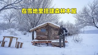 太强了，男人全程自己动手，在雪天搭建温暖的庇护所