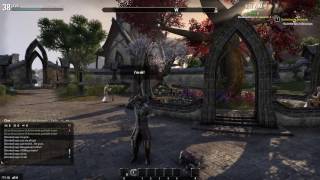 ESO drunken Roleplaying fun