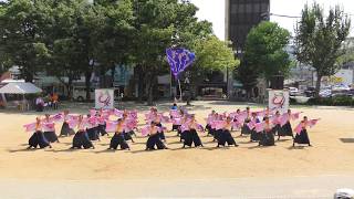 「桜家一門YOSAKORI隊」どまつり2017 8/27(日)【ナディアパーク矢場公園】