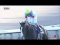 有馬記念でタイトルホルダーが負けたワケ