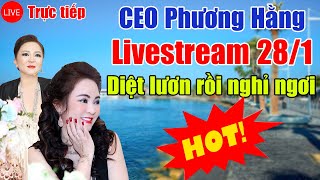 Trực tiếp: CEO Phương Hằng trở lại livestream 28/1: Quét sạch lươn chúa và nghỉ ngơi du dịch