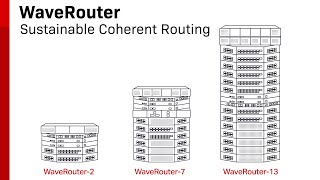 Sustainable Coherent Routing