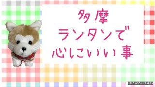 #4【多摩ランタンで心にいい事】2022年9月、多摩ランタンフェスティバル