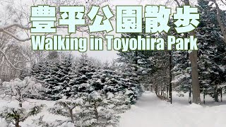 【ASMR】雪の豊平公園　I walked through Toyohira Park, where the temperature was minus 7 degrees Celsius.