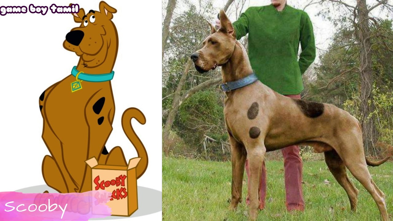 Scooby Doo Characters Real People