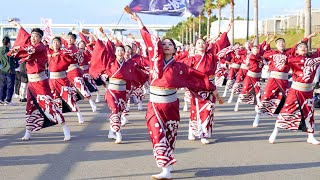 [4K] 藍なり　泉州YOSAKOIゑぇじゃないか祭り 2023 SEASIDE会場