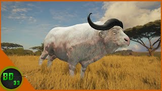 The Hunt For A Rare Cape Buffalo Is ON! Call Of The Wild