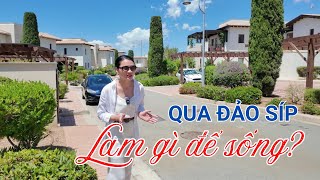 Qua đảo Síp làm gì để sống? | Định cư đảo Síp #dinhcudaosip #daosip #dinhcusip