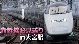 始発の新幹線お見送り(E3系つばさ+E2系J66編成200系カラー・E5系U1編成 登場)ライブin大宮駅 2024.5.11