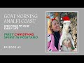 First Christmas Spirit in Positano | GOAT MORNING AMALFI COAST Ep 43