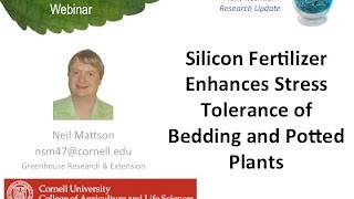 Silicon Fertilizer Enhances Stress Tolerance of Bedding and Potted Plants