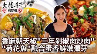 香麻朝天椒「三年剁椒肉炒肉」 「荷花魚」融合蛋香鮮嫩彈牙【@ctvchinatvEP1915】