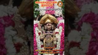 சுவாமிமலை கந்தசஷ்டி விழா நாள் 3 அருள்மிகு சண்முகசுவாமி திருமுறை விண்ணப்பம் GodAlmightyTamil #murugan