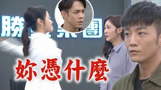 【願望】EP33 冬雨劈腿安迪曝光被麗紅狠賞巴掌 子維跳出來喊已分手護周全...自己偷偷大哭太心疼│完全娛樂