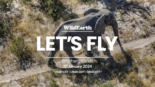 Let’s Fly… Elephant Sands