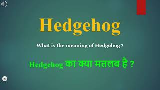 Hedgehog meaning in Hindi | Hedgehog ka kya matlab hota hai | daily use English words