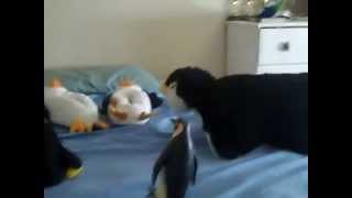 The Unexpected Hero 2 - The March of the Penguins