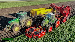 Juurikkaiden sadonkorjuu | Stronga Kolmiakselinen sokerijuurikkaan perävaunu, John Deere \u0026 Grimme